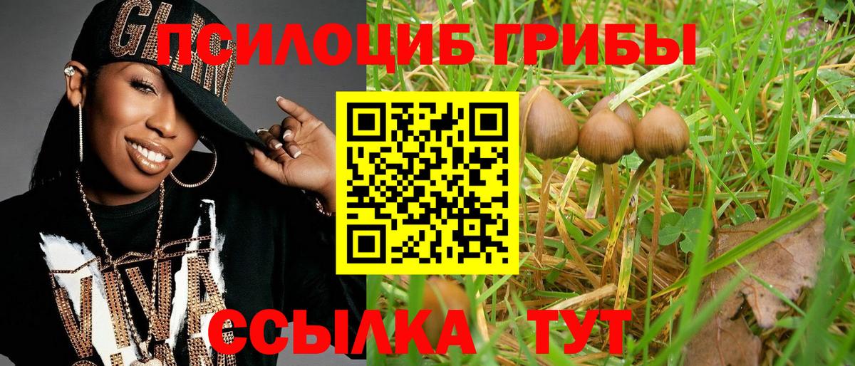 наркотики  Псилоцибиновые грибы Psilocybe  Псилоцибиновые грибы прущие грибы  Вход с VPN  Майкоп 